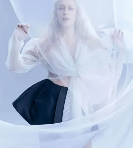 Image 2082664 from Chloë Sevigny