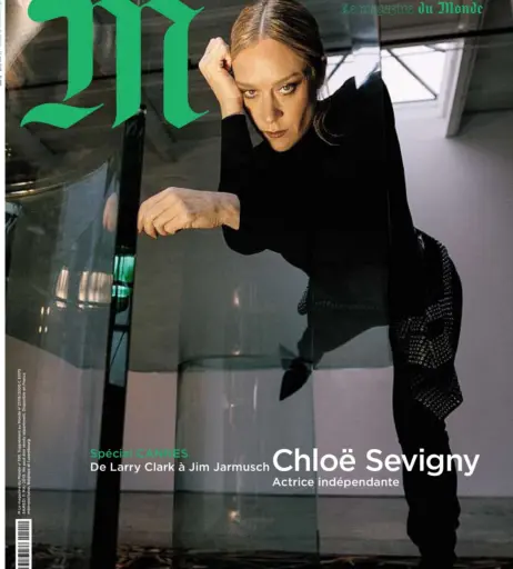 Image 2082155 from Chloë Sevigny