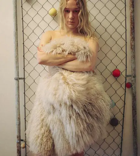 Image 2082225 from Chloë Sevigny