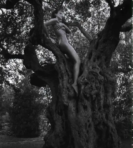 Image 2082966 from Caroline Beil