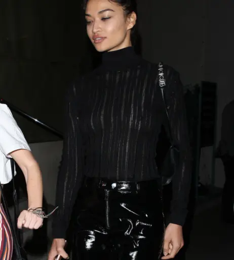 Image 2083141 from Shanina Shaik