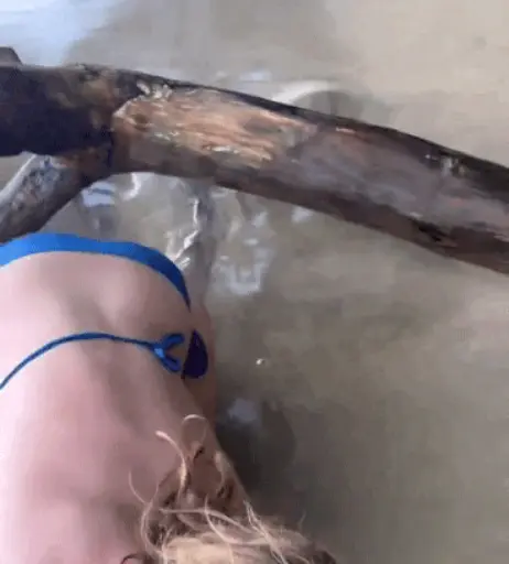 Image 2088707 from Iris Mareike Steen