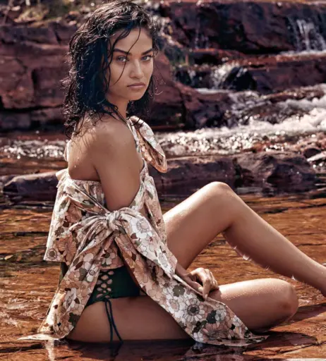 Image 2074784 from Shanina Shaik