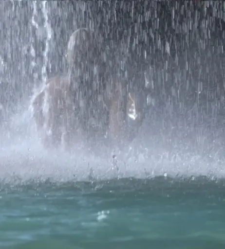 Image 2073938 from Indiana Evans