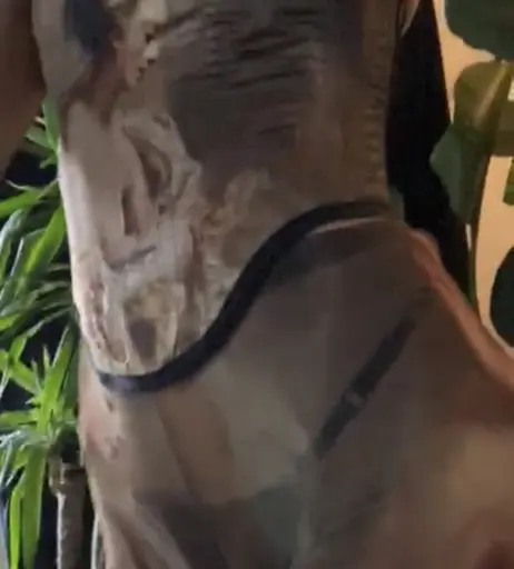 Image 2079310 from Lexy Panterra