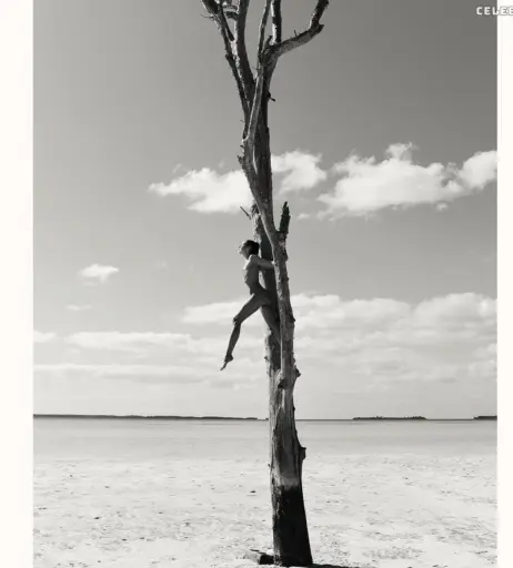 Image 2078399 from Juliane Seyfarth