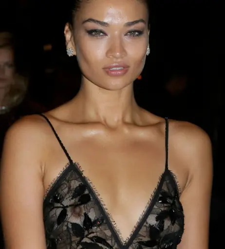 Image 2078219 from Shanina Shaik