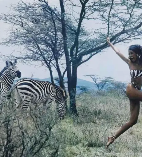 Image 2065885 from Iman Abdulmajid