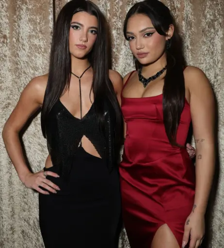 Image 20658087 from Charli D'Amelio / Charli Damelio