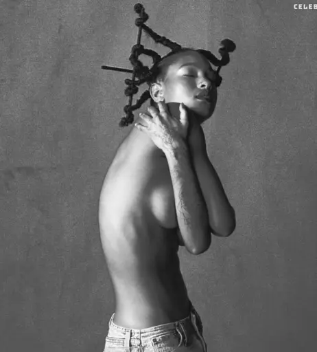 Image 2066650 from Willow Smith