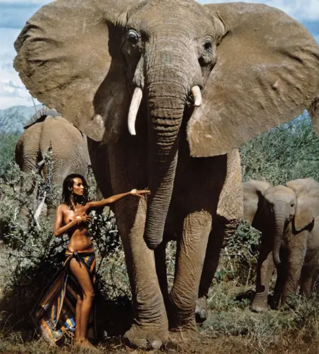 Image 2066072 from Iman Abdulmajid