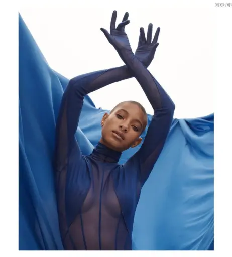 Image 2066938 from Willow Smith