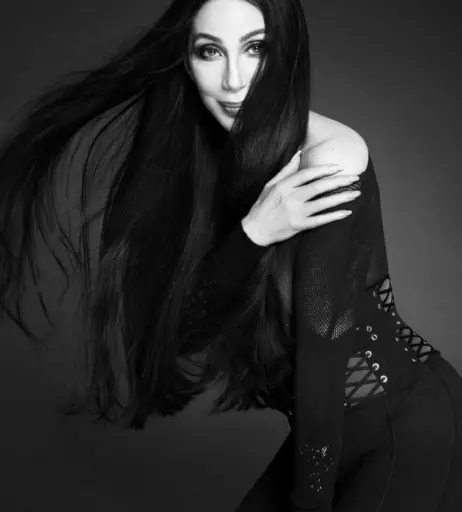 Image 2067617 from Cher