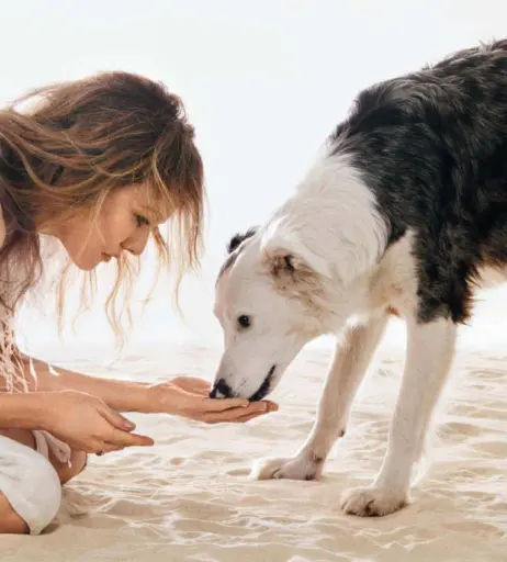 Image 2062882 from Vanessa Paradis