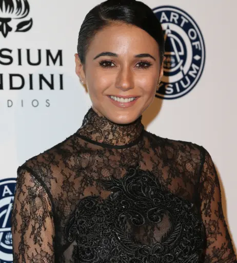 Image 2062548 from Emmanuelle Chriqui