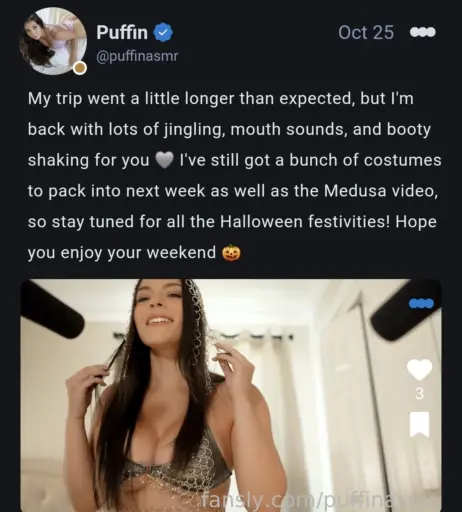Image 20624924 from ASMR Puffin