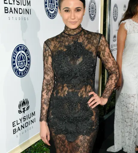 Image 2062671 from Emmanuelle Chriqui