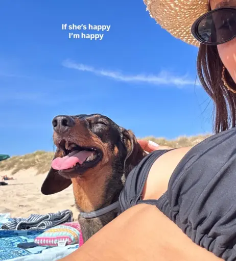 Image 2063205 from Daniela Melchior