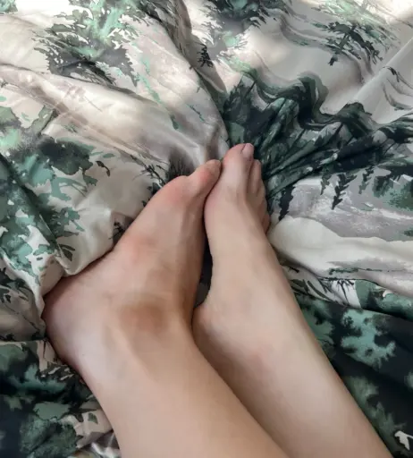 Image 20605926 from MSFIIIRE | Emily Taylor | lilly_bloomes | lillyblooms