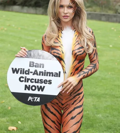 Image 2060961 from Joanna Krupa
