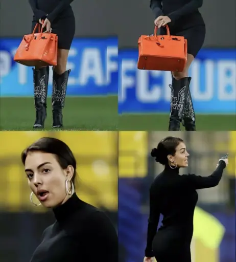 Image 2068249 from Georgina Rodriguez Hernández