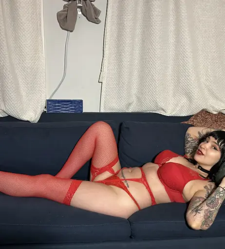 Image 20538554 from Jamie Peck / Jamie Elizabeth