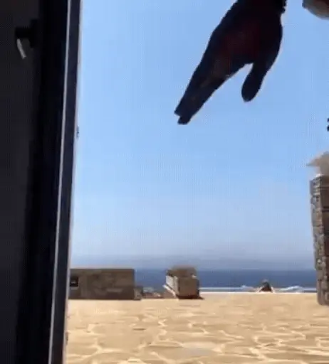 Image 2035894 from Lola Weippert