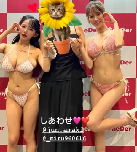 Image 20351624 from Jun Amaki