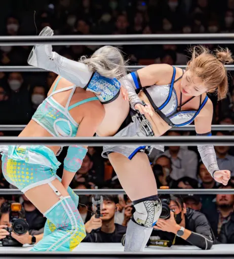 Image 20375193 from Women of Joshi Puroresu