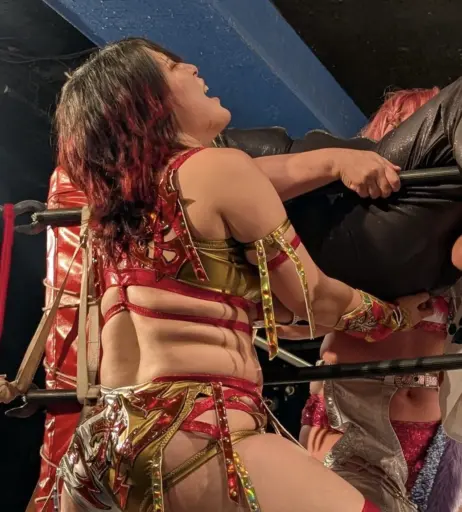 Image 20375198 from Women of Joshi Puroresu