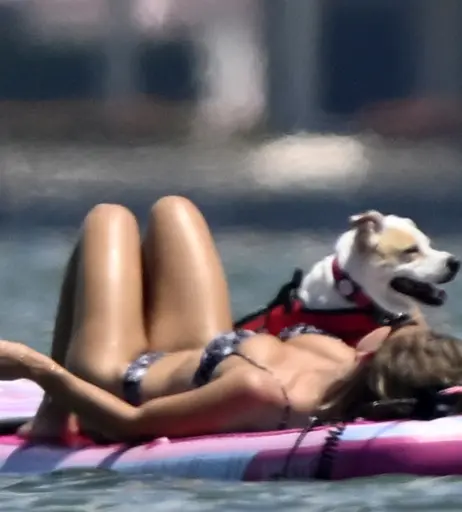 Image 2037513 from Sydney Sweeney