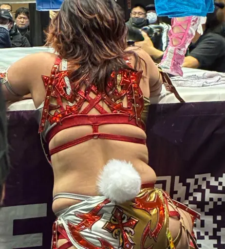 Image 20375163 from Women of Joshi Puroresu