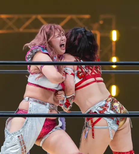 Image 20375206 from Women of Joshi Puroresu