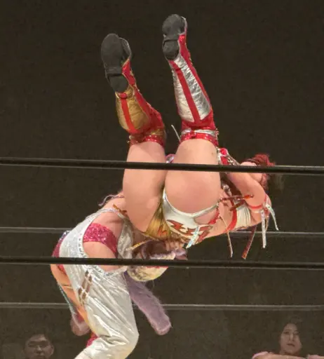 Image 20375205 from Women of Joshi Puroresu