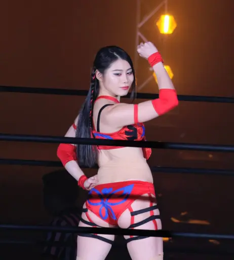 Image 20375232 from Women of Joshi Puroresu