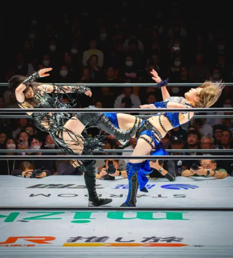 Image 20374953 from Women of Joshi Puroresu