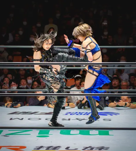 Image 20374952 from Women of Joshi Puroresu