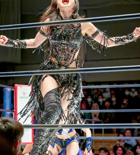 Image 20374956 from Women of Joshi Puroresu