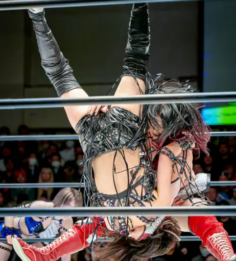 Image 20374955 from Women of Joshi Puroresu