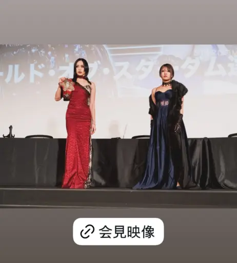 Image 20374943 from Women of Joshi Puroresu