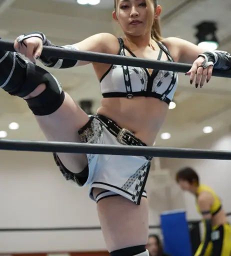 Image 20377063 from Women of Joshi Puroresu