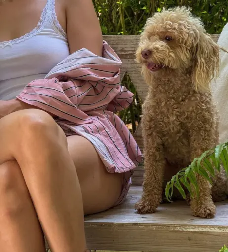 Image 2033867 from Millie Bobby Brown