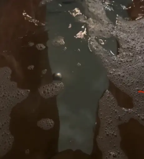 Image 203051 from Sandra Prikker