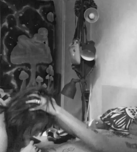 Image 202705 from Saucychilisauce