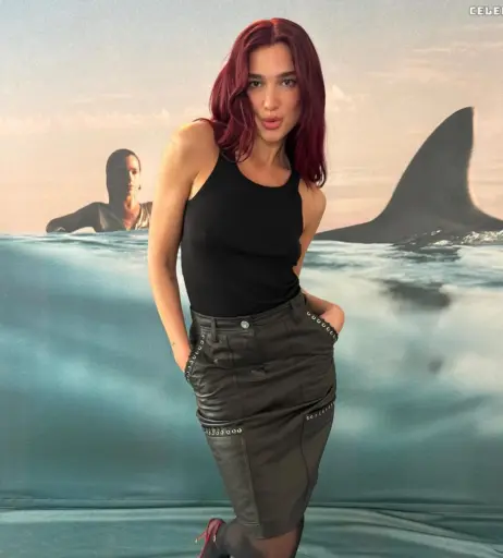 Image 2020209 from Dua Lipa