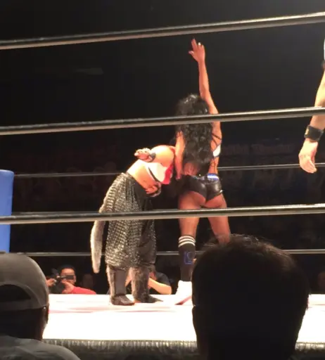 Image 20158379 from Zelina Vega // Thea Trinidad