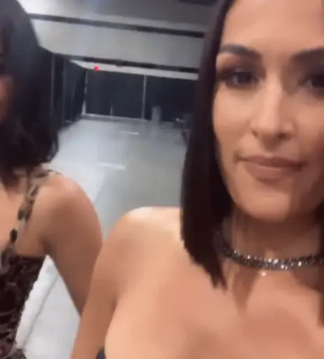 Image 20151081 from The Bella Twins: Nikki Bella &amp; Brie Bella | Garcia Twins