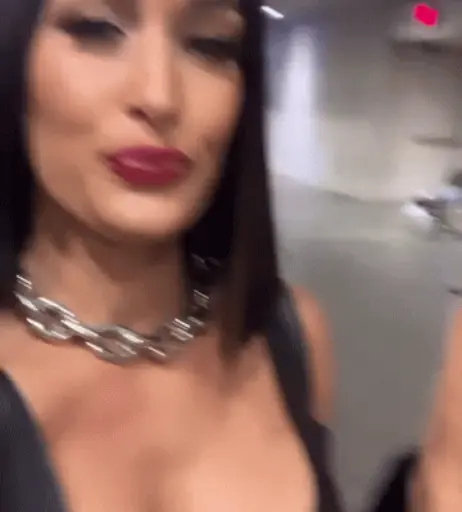 Image 20151089 from The Bella Twins: Nikki Bella &amp; Brie Bella | Garcia Twins