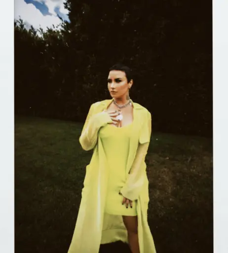 Image 2016187 from Demi Lovato