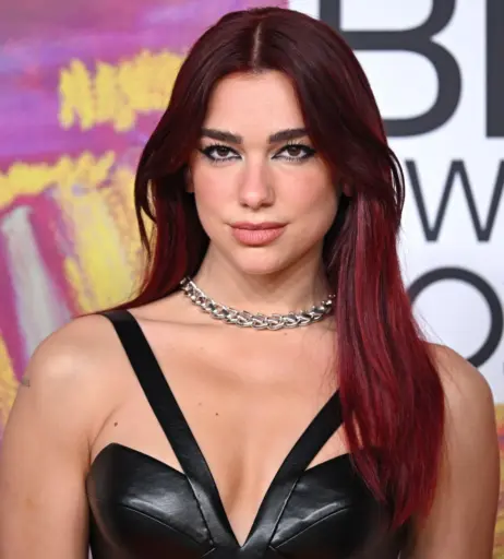Image 2017115 from Dua Lipa